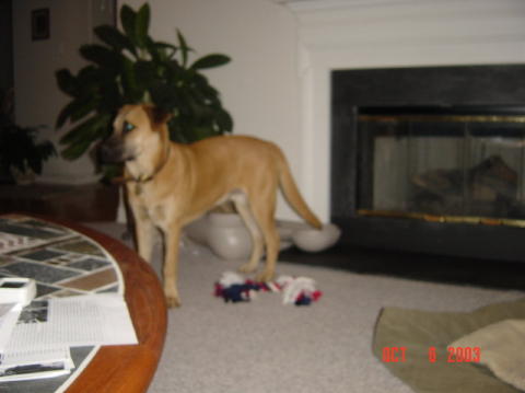 Image003