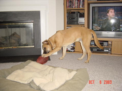 Image004