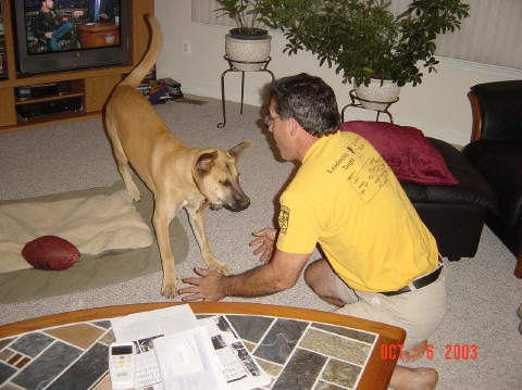 Image005