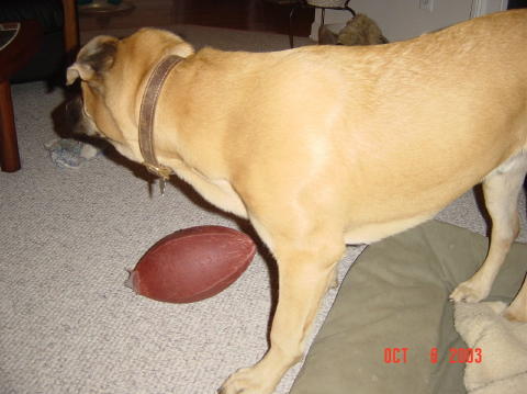 Image009