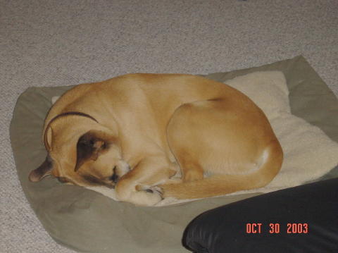 Image001