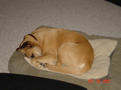 Image002