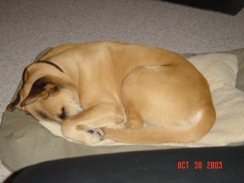 Image003