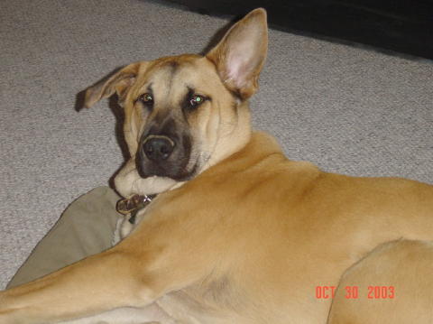 Image004