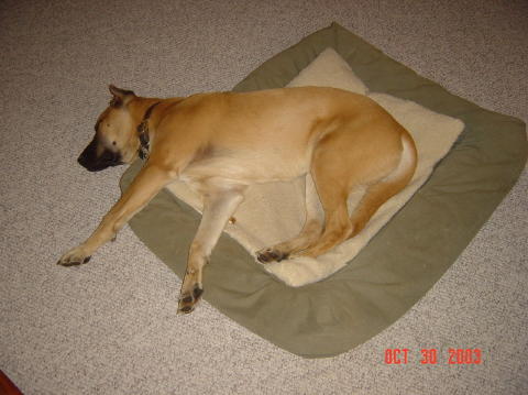 Image005