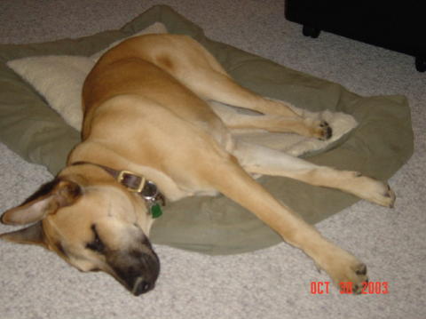 Image007