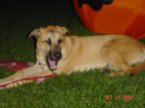 Image012
