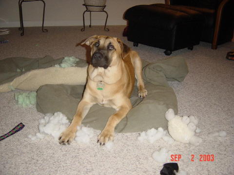 Image006