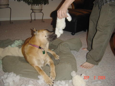 Image007