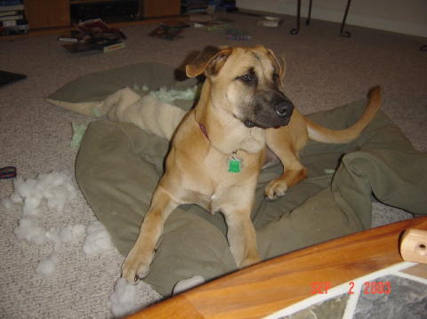 Image009