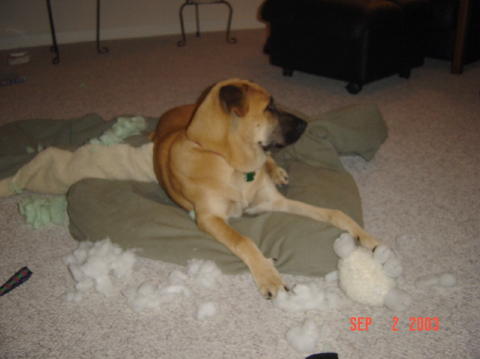 Image010