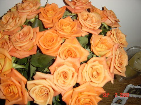 Image005