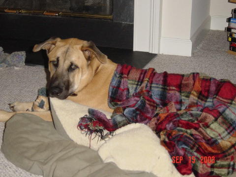 Image004