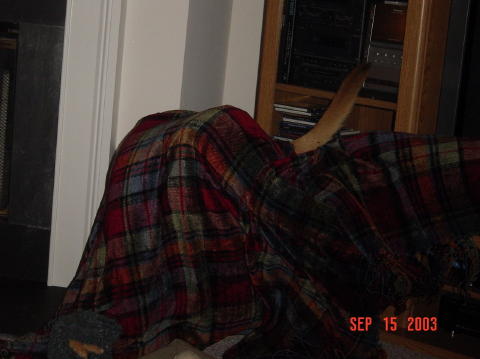 Image007