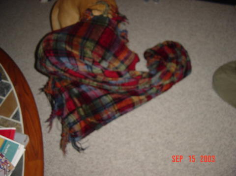 Image008