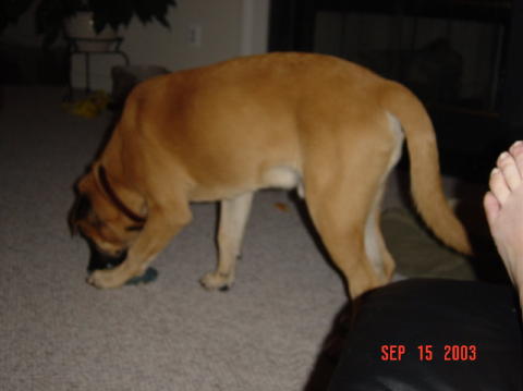 Image011