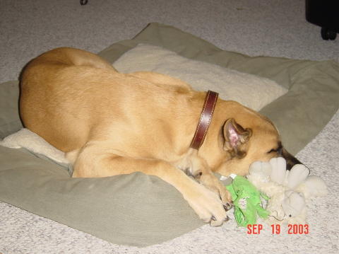Image001