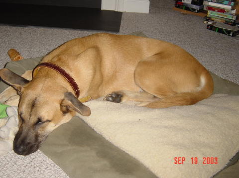 Image002