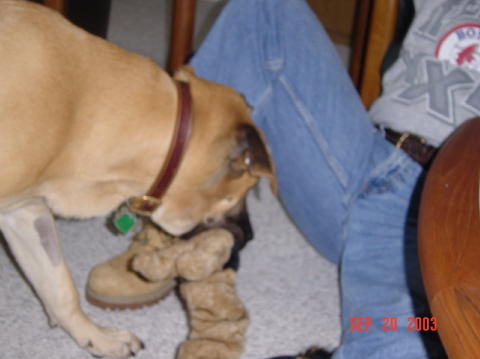 Image003