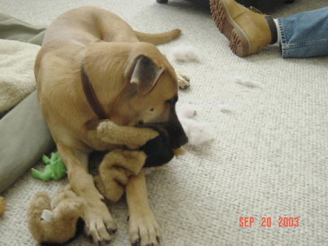 Image004