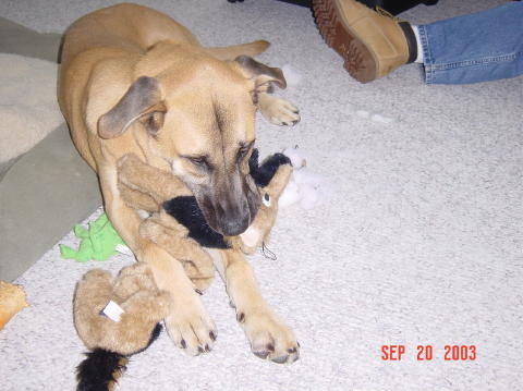 Image005