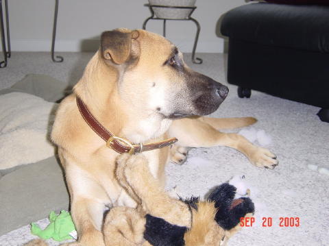 Image006