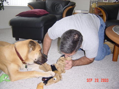 Image007