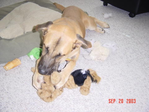 Image008