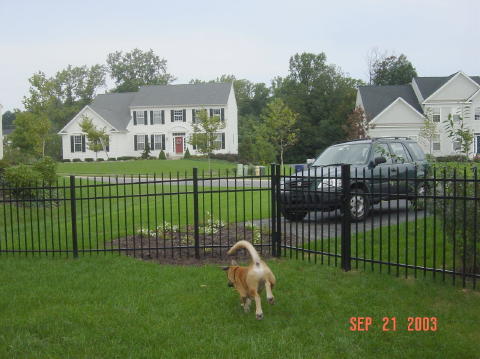 Image009