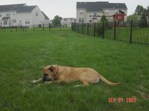 Image010