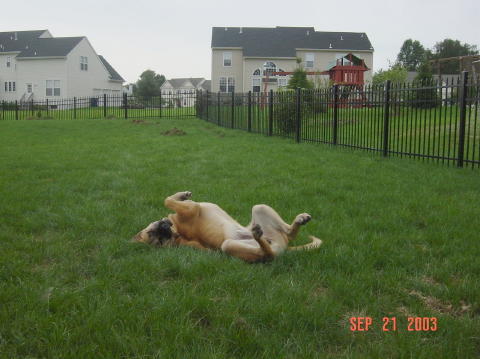 Image011