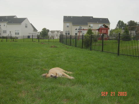Image012