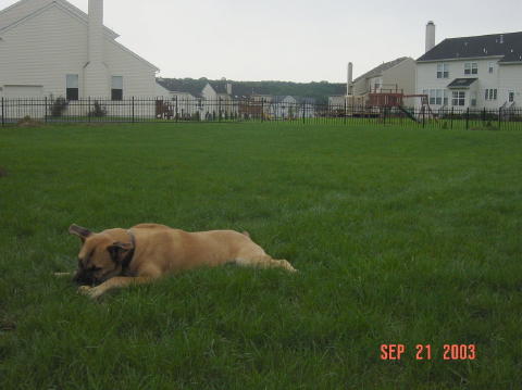 Image013
