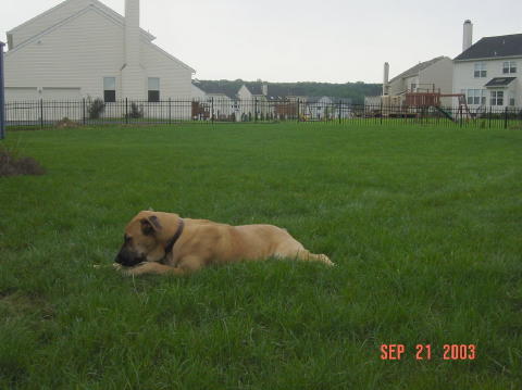 Image014