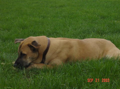 Image015