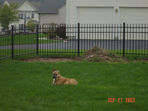 Image017