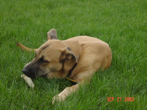 Image020
