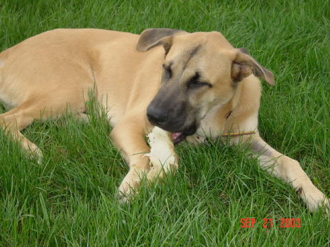 Image021