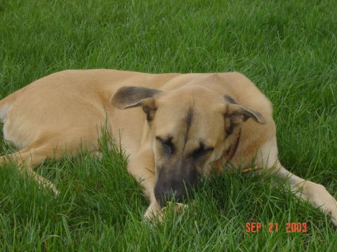 Image022