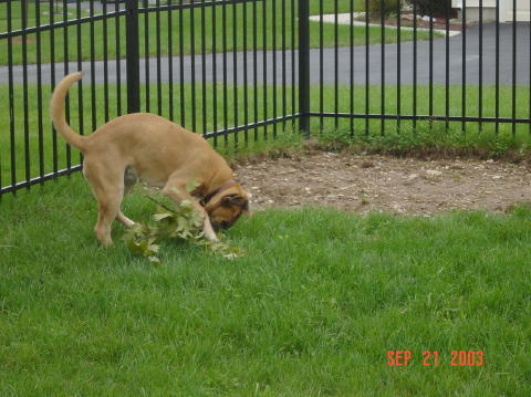 Image023