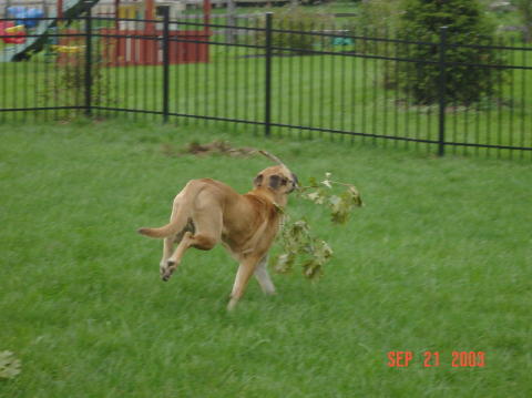 Image024