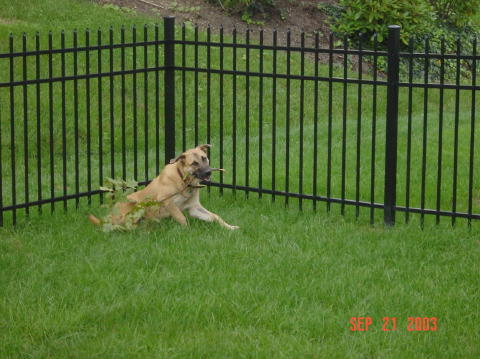 Image025