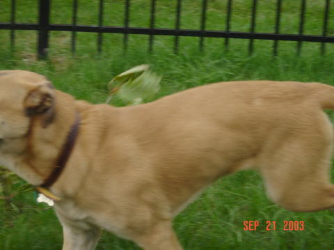Image026