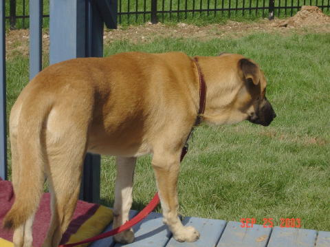 Image007
