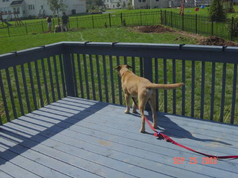 Image009