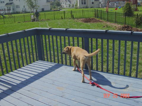 Image010