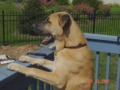 Image013