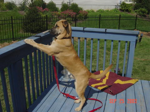 Image014