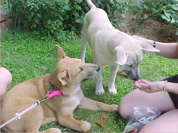 TuckerDakota4mos