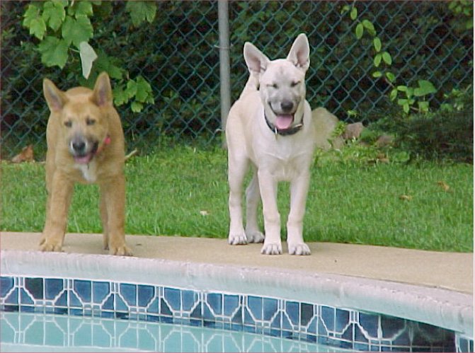 TuckerDakota4mos_2